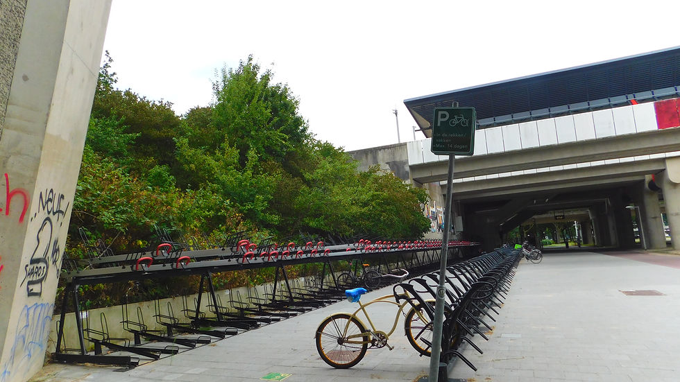 A Taste of Victory: Part 1/?