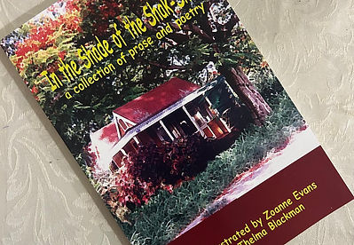 WhatsApp Image 2025-01-05 at 17.50.42_bc370245.jpg