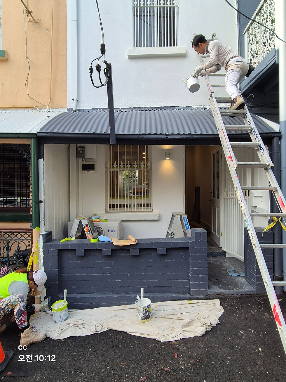 Rear Exterior Painting – Surry Hills