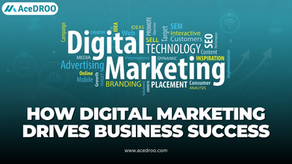 AceDROO Blog Image - Digital Marketing