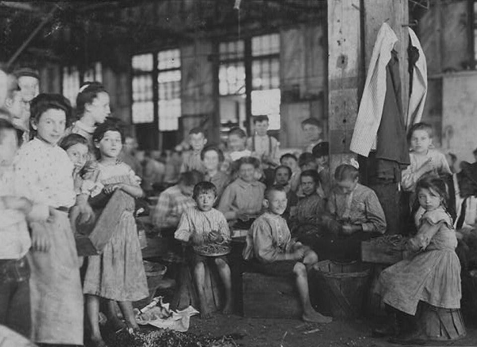 Desenvainando frijoles para J.S. Farrand Packing Co., Baltimore