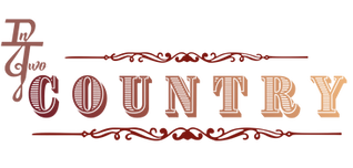 InTwo Country Logo1.png