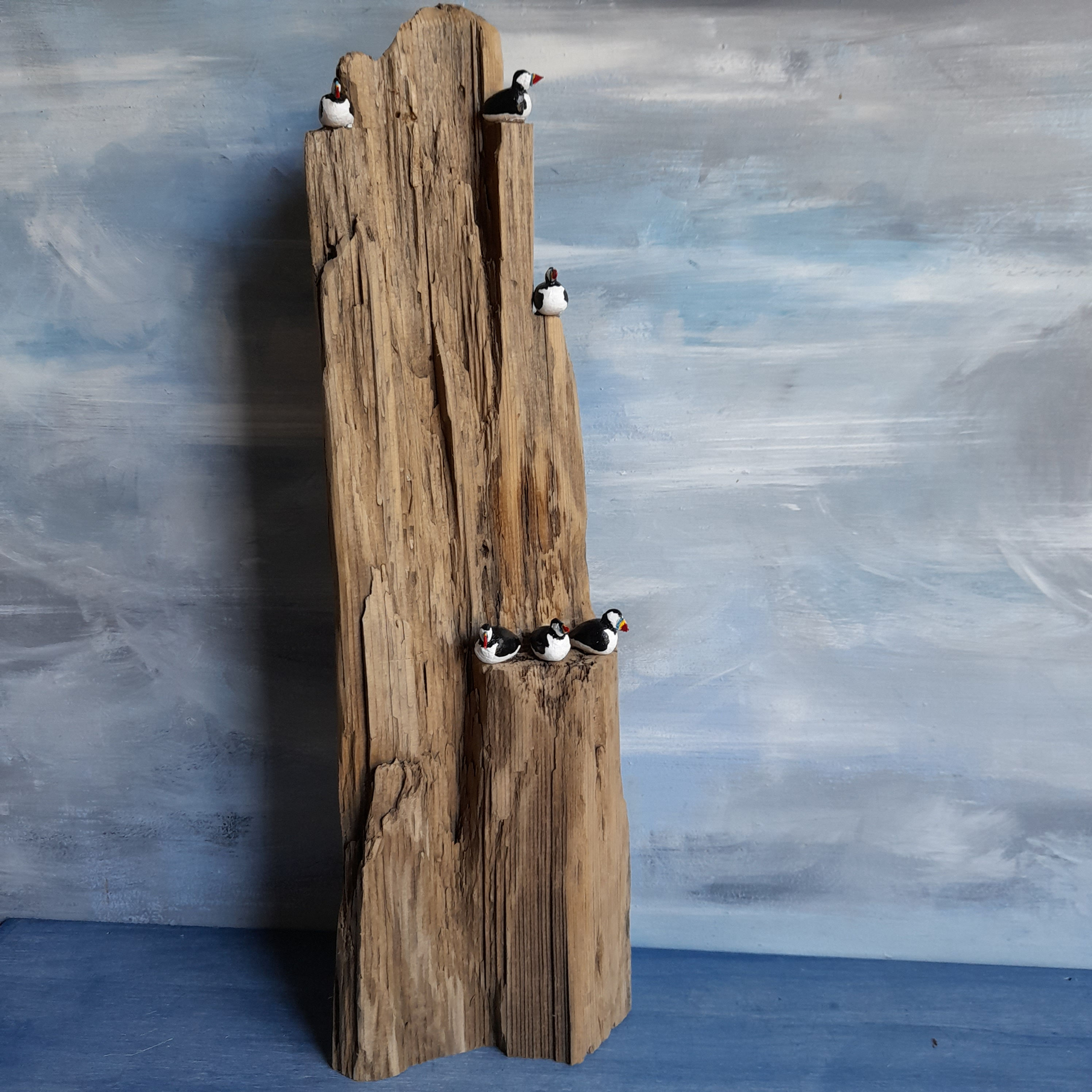 Farne Island memories 