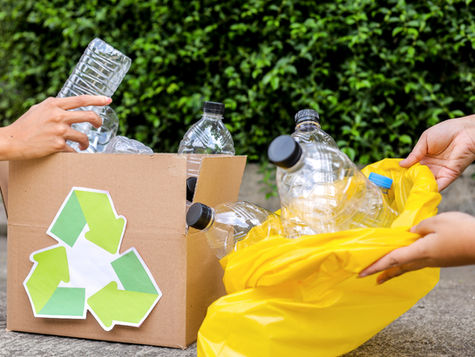 O futuro do planeta começa na sua lixeira: o poder da reciclagem em nossas mãos