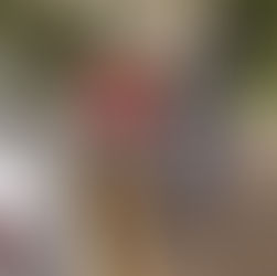 Mulher é presa pela Polícia Militar por descumprir medida protetiva e ameaçar ex-sogra de morte em Araras
