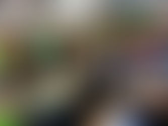 PV Araras realiza palestra sobre "Direitos das Mulheres" na Câmara Municipal