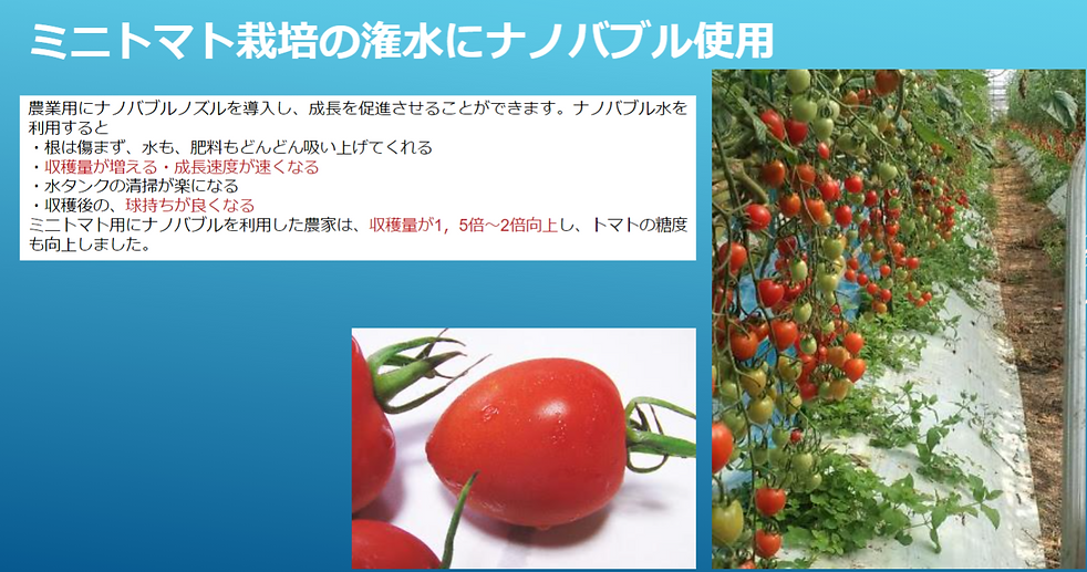 スクリーンショット (107).png