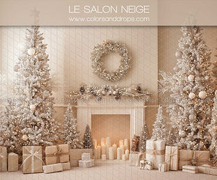 lesalonneige.jpg