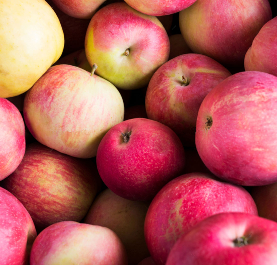 Urban Monk Balm Candle - Apple Harvest