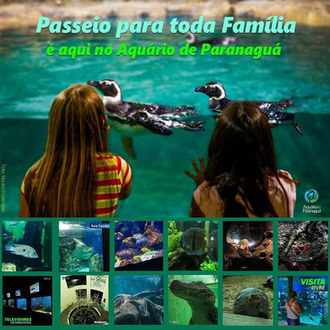 Passeio em família é no Aquário de Paranaguá