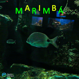 Peixe Marimbá