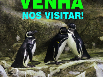 Venha fazer uma visita segura no Aquário de Paranaguá e se divirta!