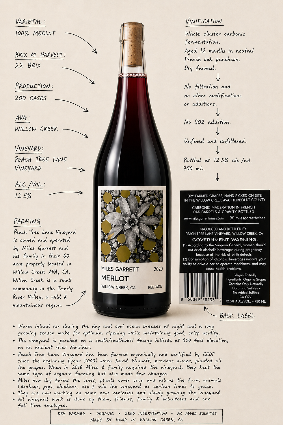 Thumbnail: 2020 Merlot