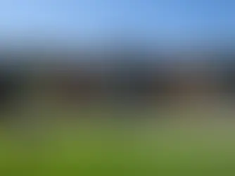 Redacción de Casos Académicos