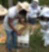 Bee Keeping at Painted Horse Winery
