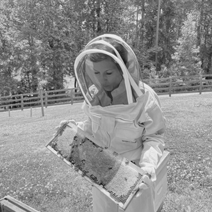 The Sweet Life of Bees at Painted Horse Winery