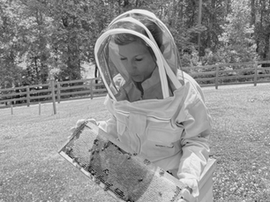 The Sweet Life of Bees at Painted Horse Winery