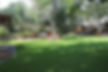 Evening reception on The Green at Painted Horse Winery's venue