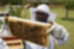 Bee Incredible Workshop 
