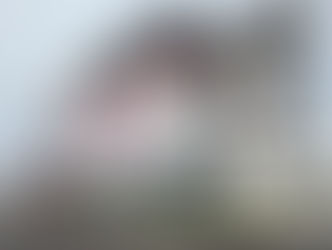 General Manager - Lucas Oil Indianapolis Raceway Park