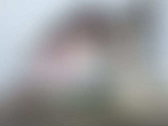 General Manager - Lucas Oil Indianapolis Raceway Park