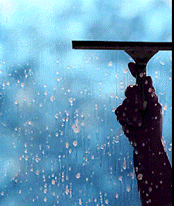 windowcleaning.GIF
