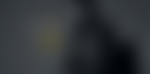 Enhancing Your Professional Image: The Importance of Branding Photography for Real Estate Agents