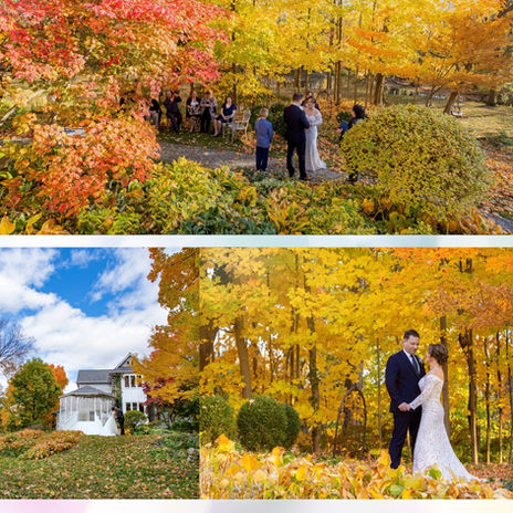 Chalet Studio Photography & Gardens  forest wedding venue looks amazing in the fall colours