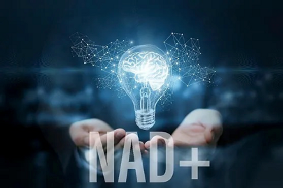 NAD+