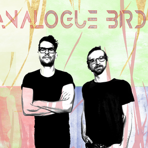 Analogue Birds