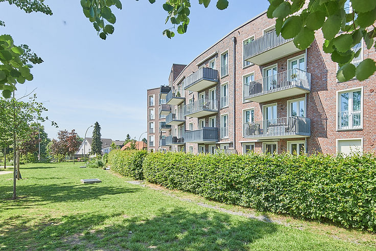 Nikon-2423 2_1600.jpg