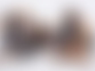 Les Real Housewives dans le reste du Monde : The Real Housewives of Toronto