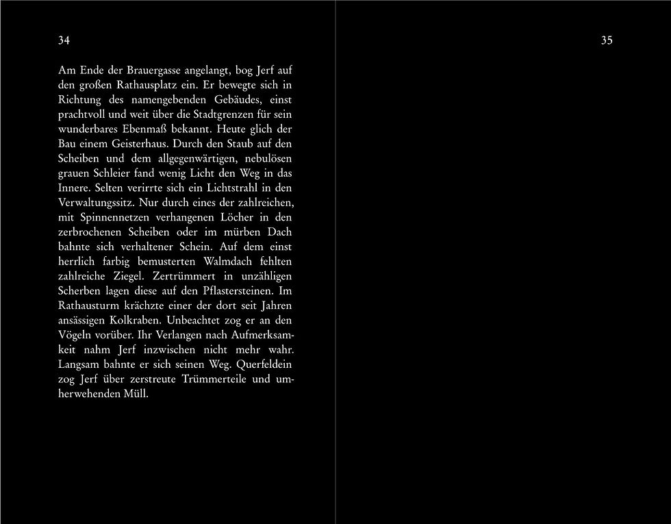 Amon Metanoia_Seelenlos_Leseprobe10