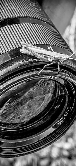 B8A024AA-F19B-46C3-A5A6-4637691ECCE3.JPG