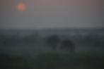 Moonrise