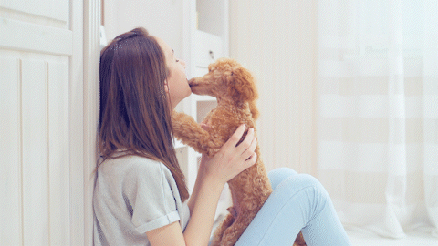 iStock-689347028_AdobeCreativeCloudExpress.gif