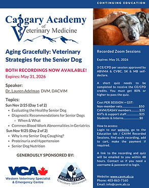 CAVM CE Sun Nov 2 & 9 2025 Int Med Sr Dogs Dr Adelman RECORDING.jpg