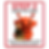 Your paragraph text (2).png