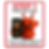Your paragraph text (1).png