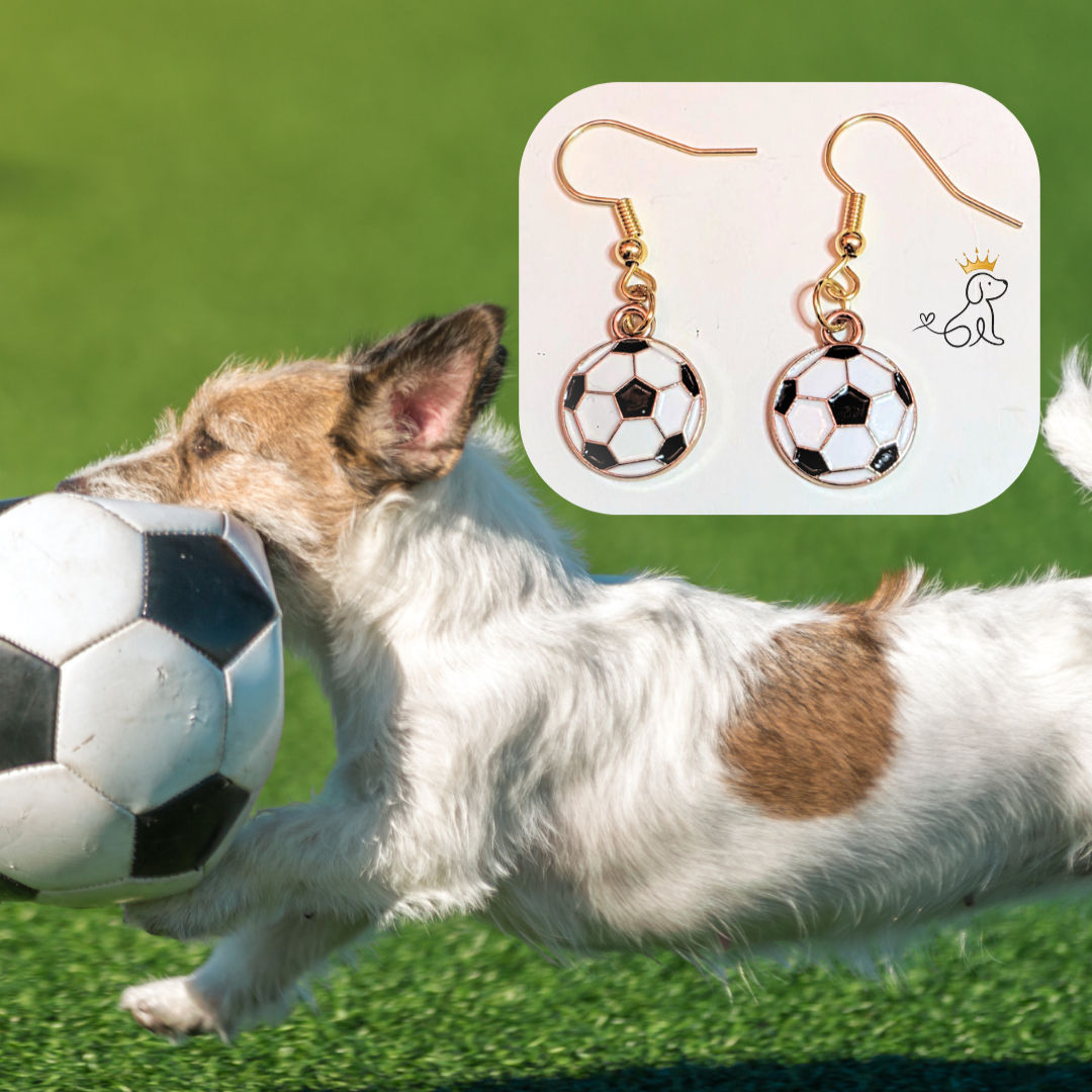 Bola earring