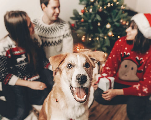 Foto de uma família reunida do lado da árvore-de-natal e trocando presentes. O cão da família está feliz perto deles.