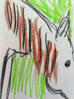 Newmarket drawing xi 