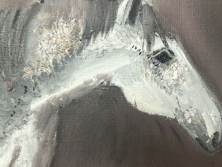 The year of the Fire Horse 2026