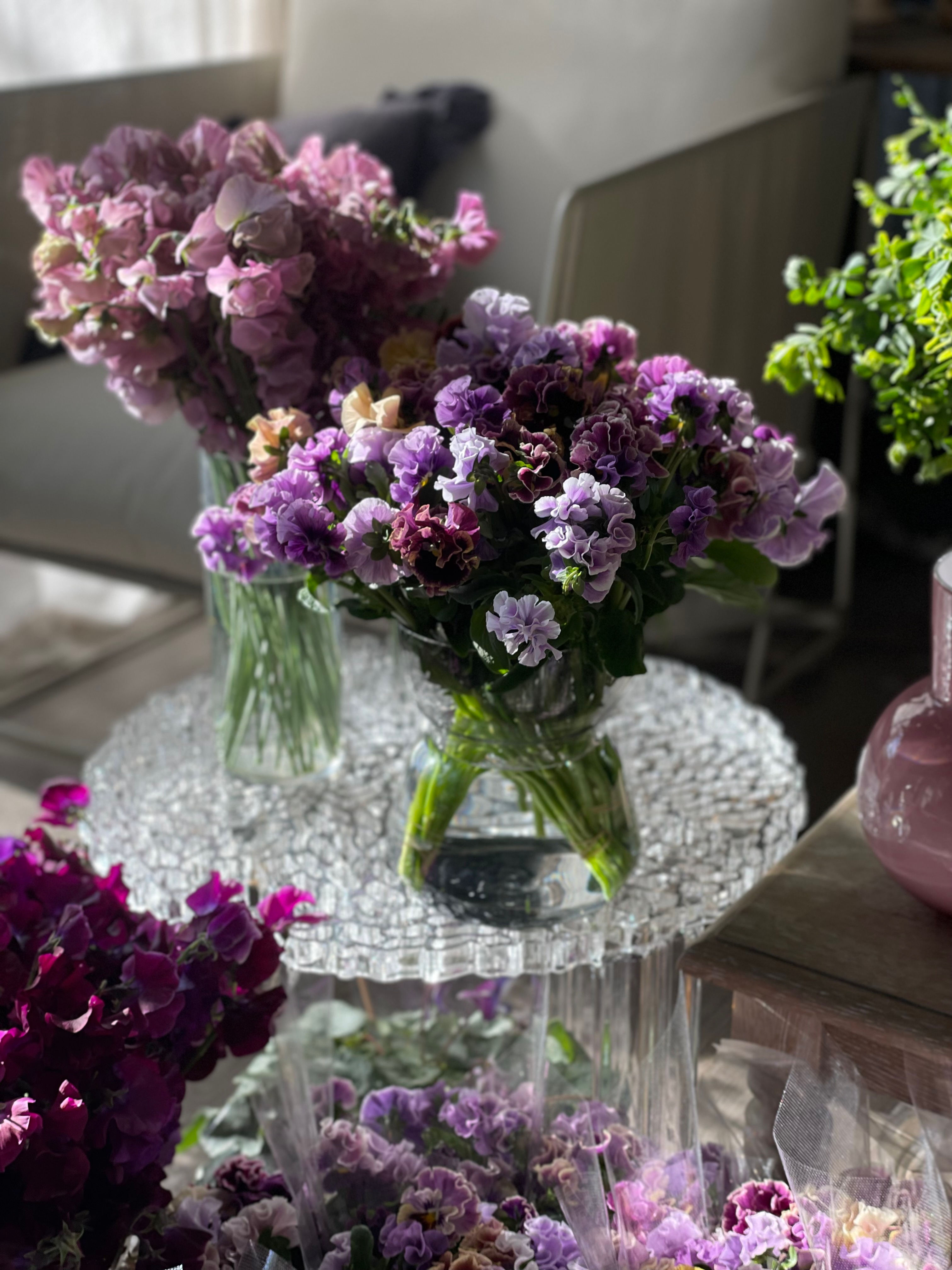 パンジー入り切り花セット