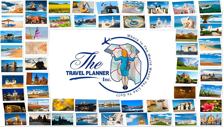 website logo ttpi_edited.jpg