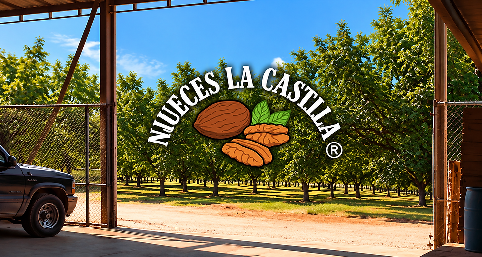 Entrada al huerto de nueces Castilla.png
