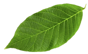 Captura de pantalla 2023-01-10 a la(s) 21.47.52-PhotoRoom.png-PhotoRoom.png