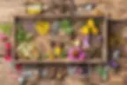 Yoni-Steam-San-Diego-1.webp
