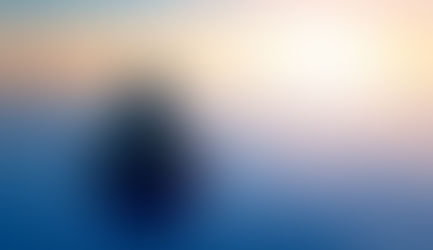 Il n'y a rien à trouver, voire à comprendre