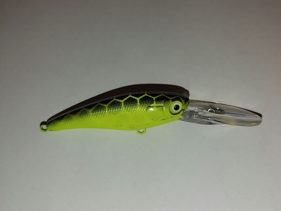 Thumbnail: Manic Minnow